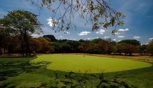 a green on the Papagayo golf course