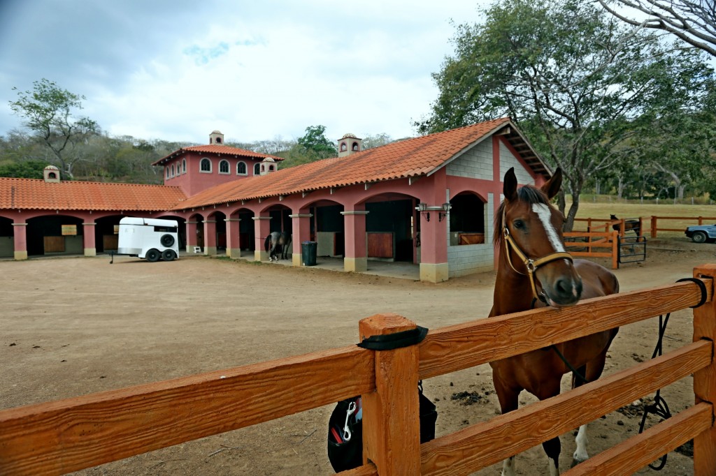 Guanacaste equestrian center