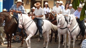 Horse parade