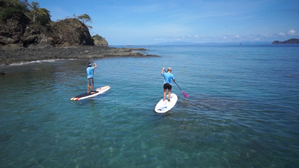 Paddleboarders