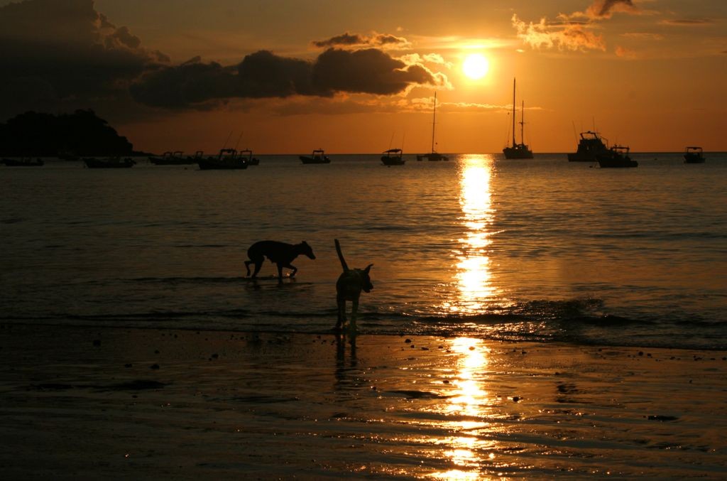 Fishing and sailboats anchored off Playas del Coco at sunset