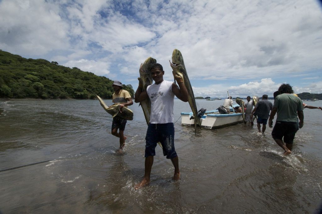 Fisherman bring in their catch in Playas del Coco