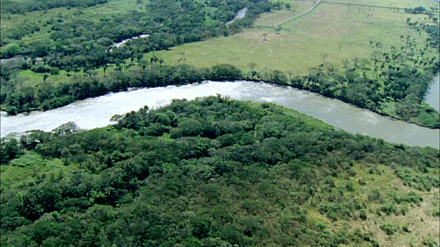 tempisque-river