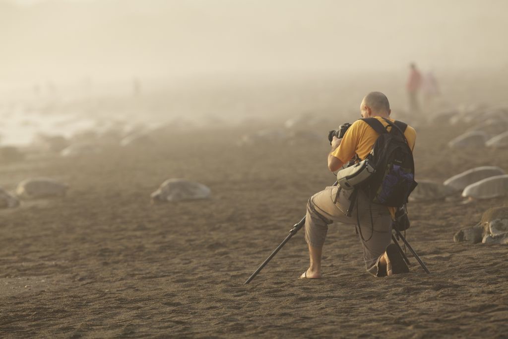 Photographer taking photos of turtles in Costa Rica