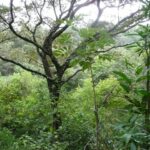 Finca Santa Maria