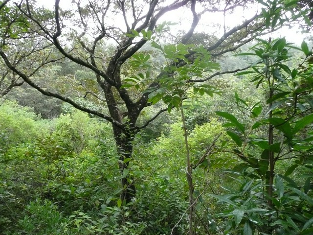 Finca Santa Maria